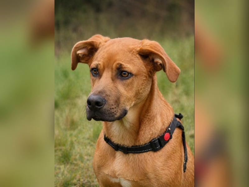 Matheo - will die Welt entdecken