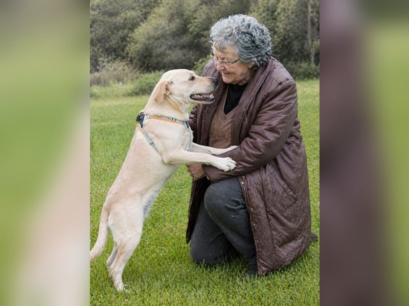 Chris - freundlich und neugierig
