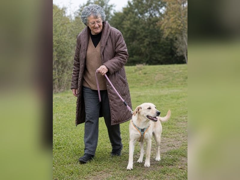 Chris - freundlich und neugierig