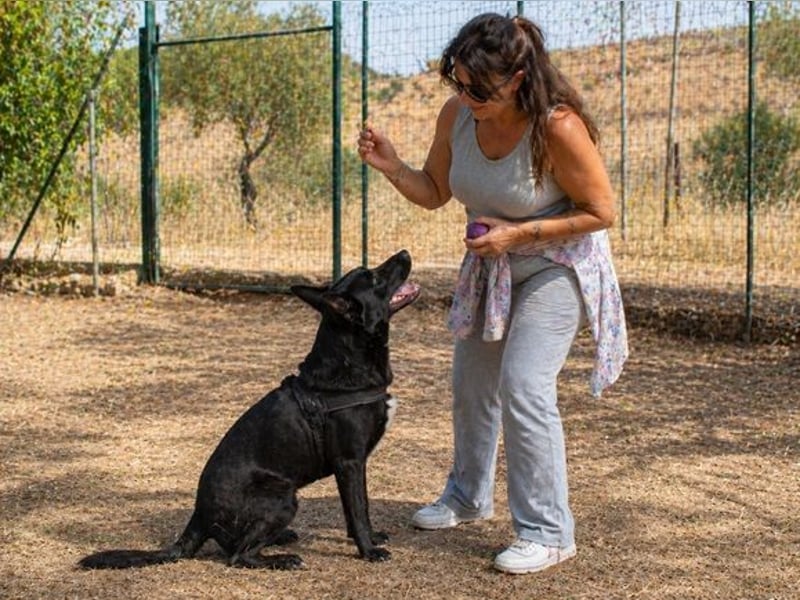Luke – ein prima Kumpel
