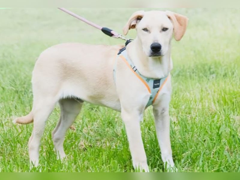 Chris - freundlich und neugierig