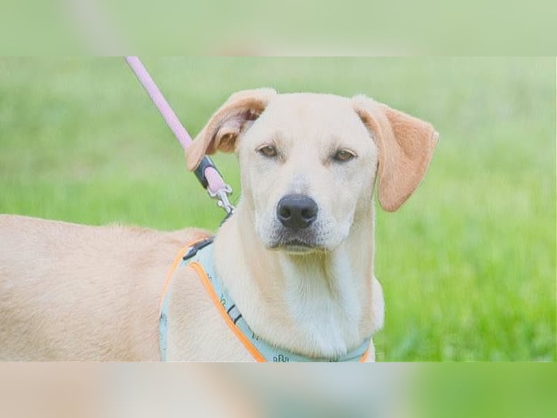 Chris - freundlich und neugierig