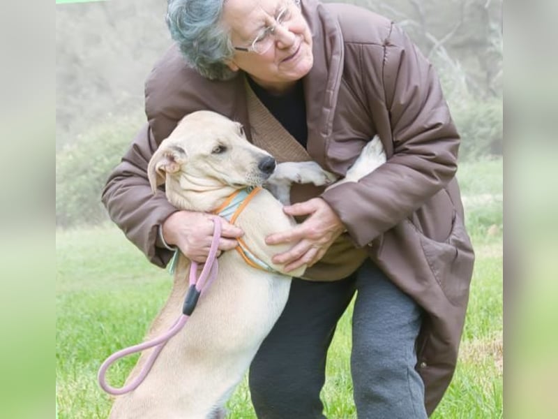 Chris - freundlich und neugierig