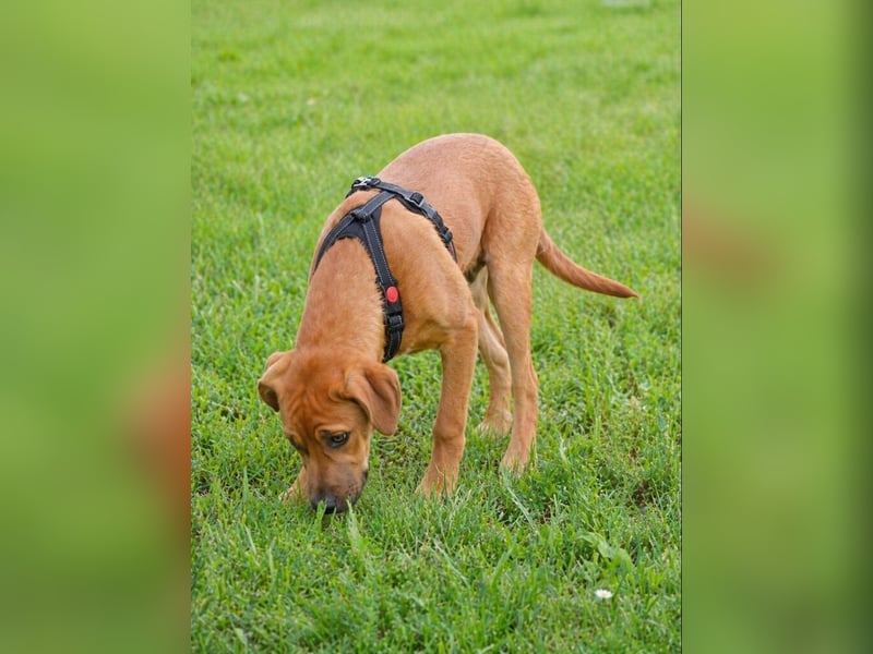 Matheo - will die Welt entdecken