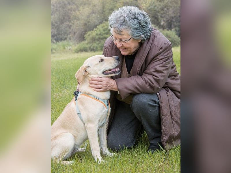 Chris - freundlich und neugierig