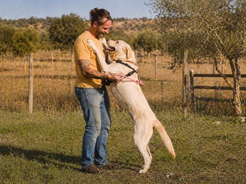 Doya – ein großer Schatz