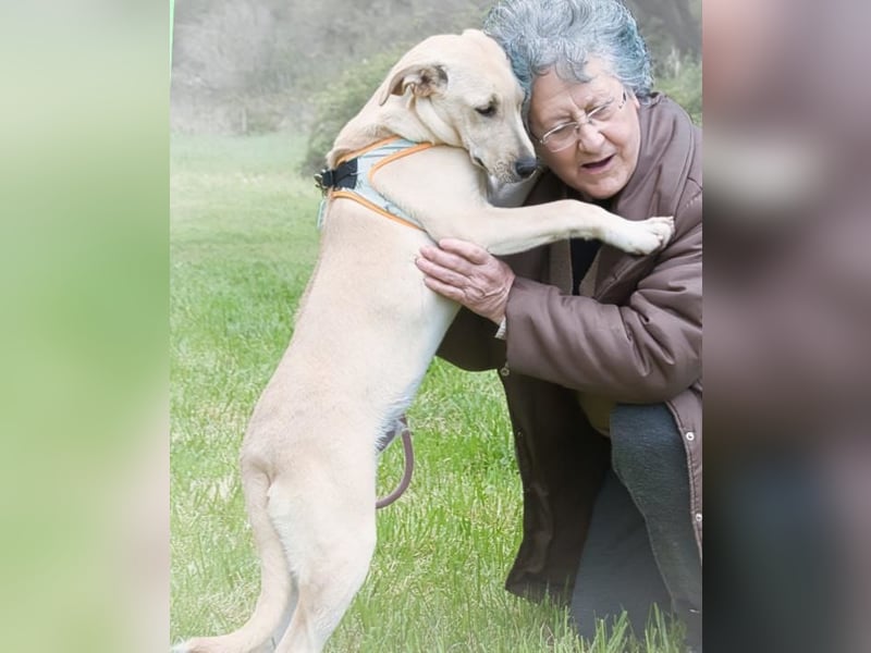 Chris - freundlich und neugierig