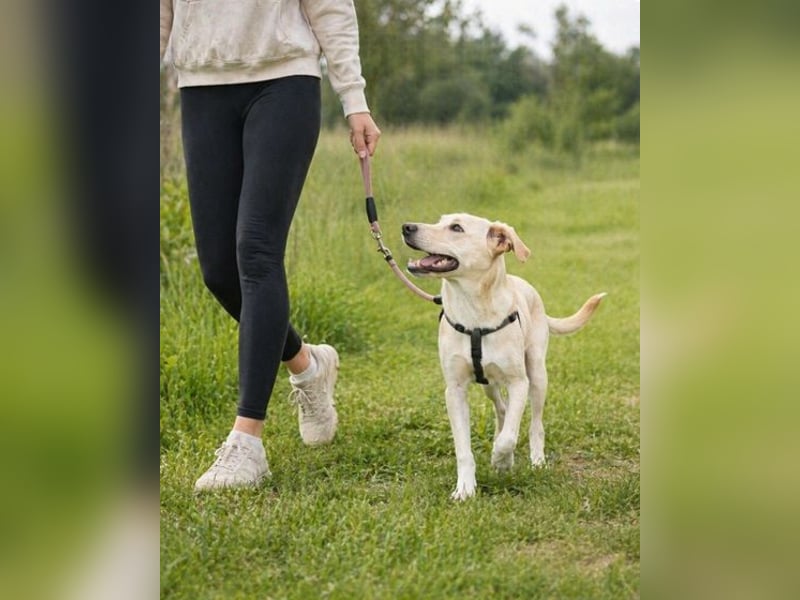 Ronaldo – ein junger Sunnyboy