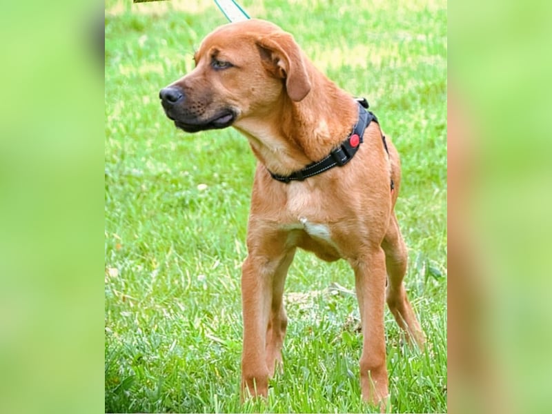 Matheo - will die Welt entdecken