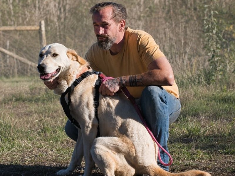 Doya – großer Schatz mit sanftem Herzen
