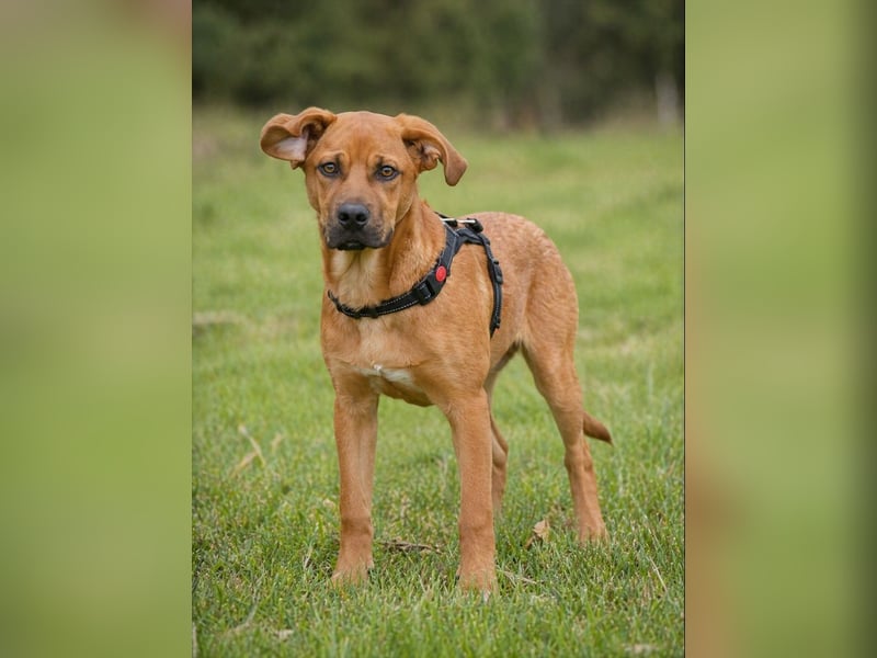 Matheo - will die Welt entdecken