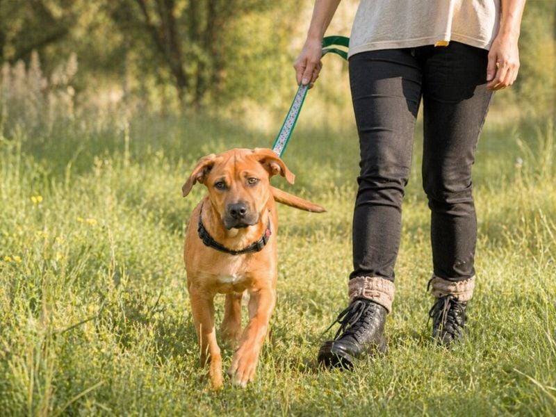 Matheo - will die Welt entdecken