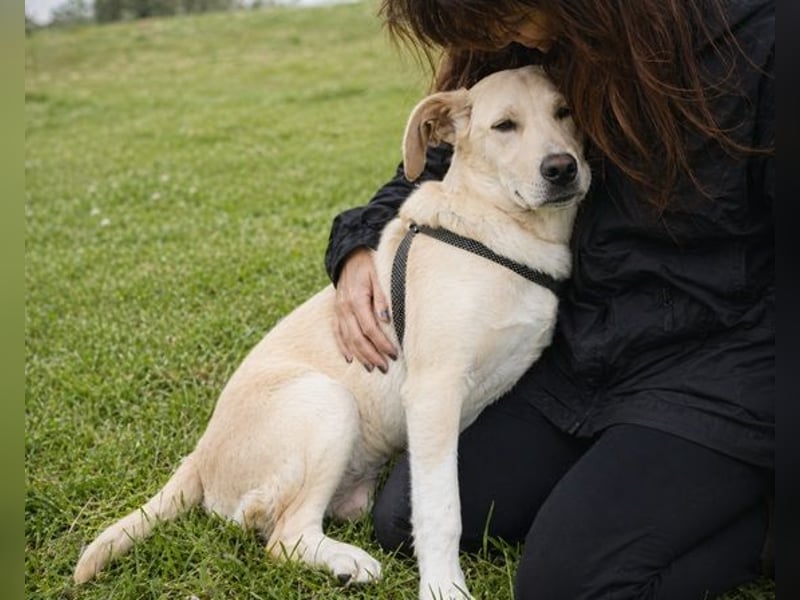 Ronaldo – ein junger Sunnyboy