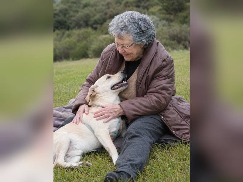 Chris - freundlich und neugierig