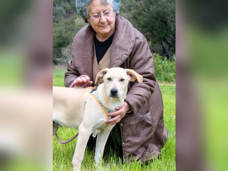 Chris - freundlich und neugierig