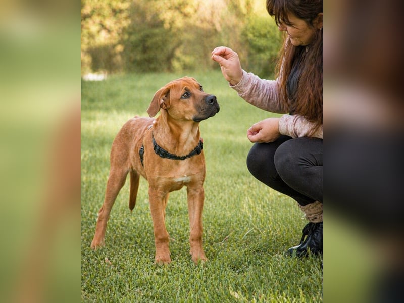 Matheo - will die Welt entdecken