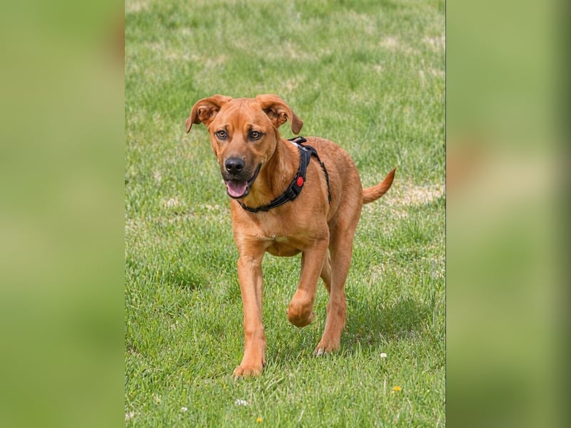 Matheo - will die Welt entdecken