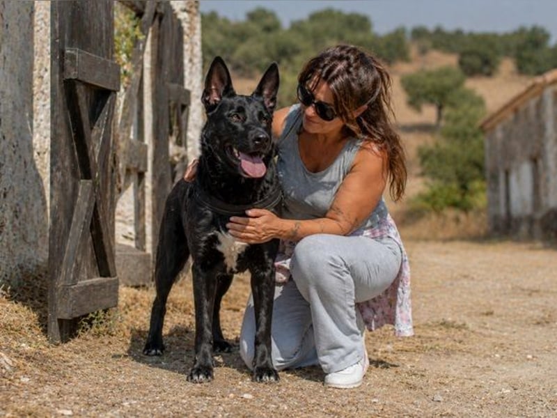 Luke – ein prima Kumpel