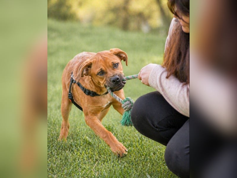 Matheo - will die Welt entdecken