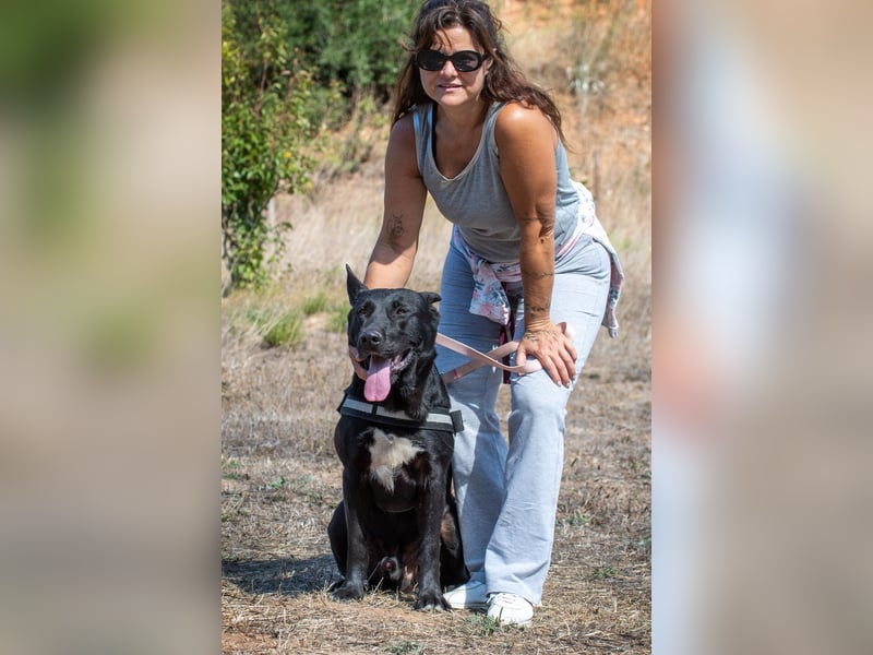 Luke – ein prima Kumpel