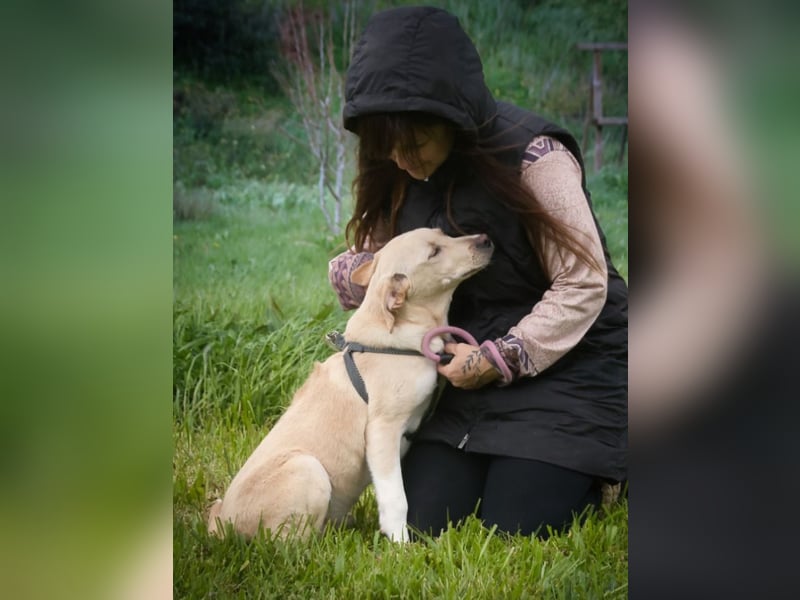 Ronaldo – ein junger Sunnyboy