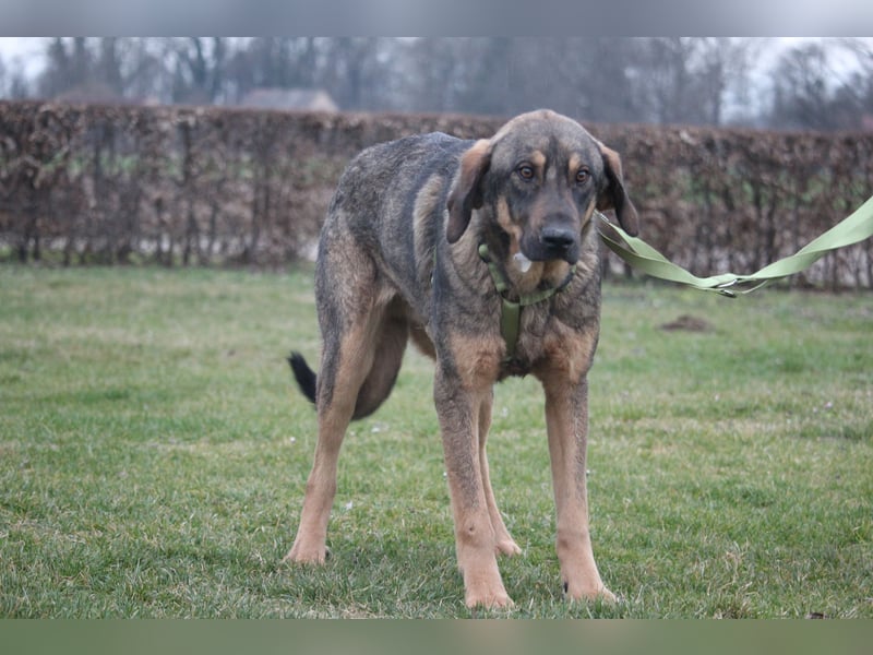 Pablo – leise Seele sucht seine Familie...