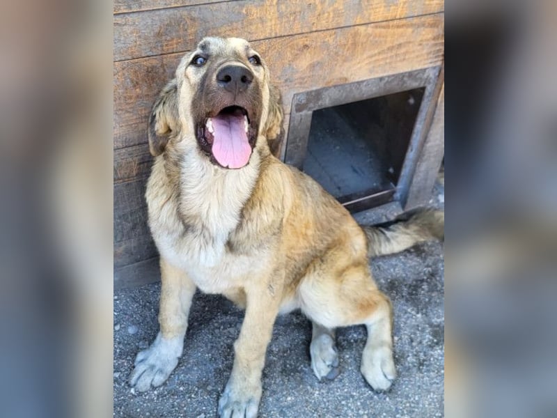 HSH-Mix Miriam ❤️ verspielt, aktiv, sucht dich!