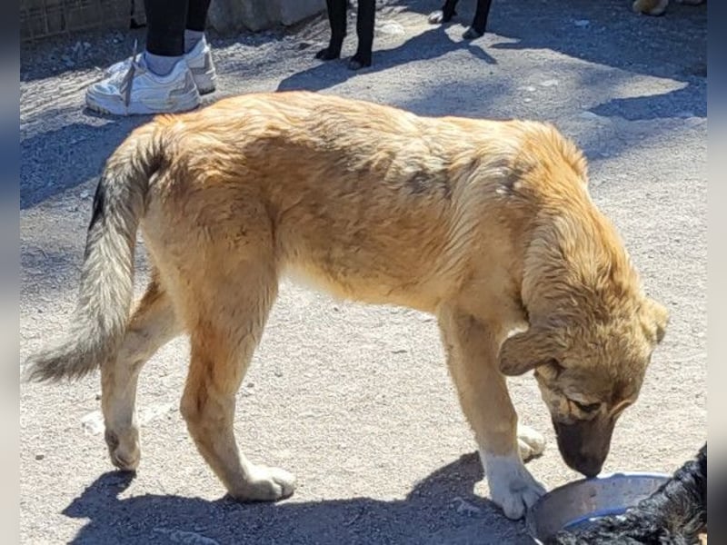 HSH-Mix Miriam ❤️ verspielt, aktiv, sucht dich!