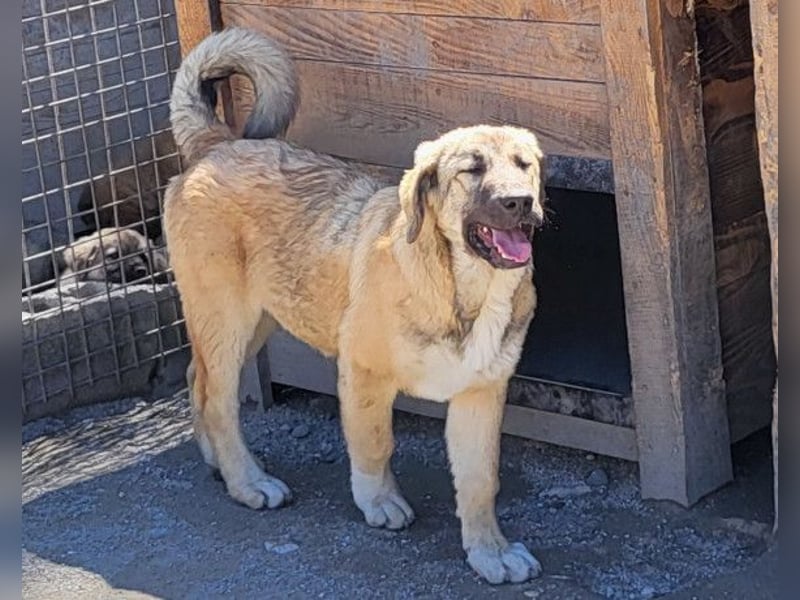 HSH-Mix Miriam ❤️ verspielt, aktiv, sucht dich!