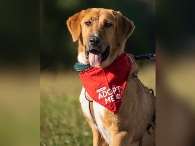 HSH-Mix-JungLady ♥ Suvi ♥ 63911 Klingenberg/Main