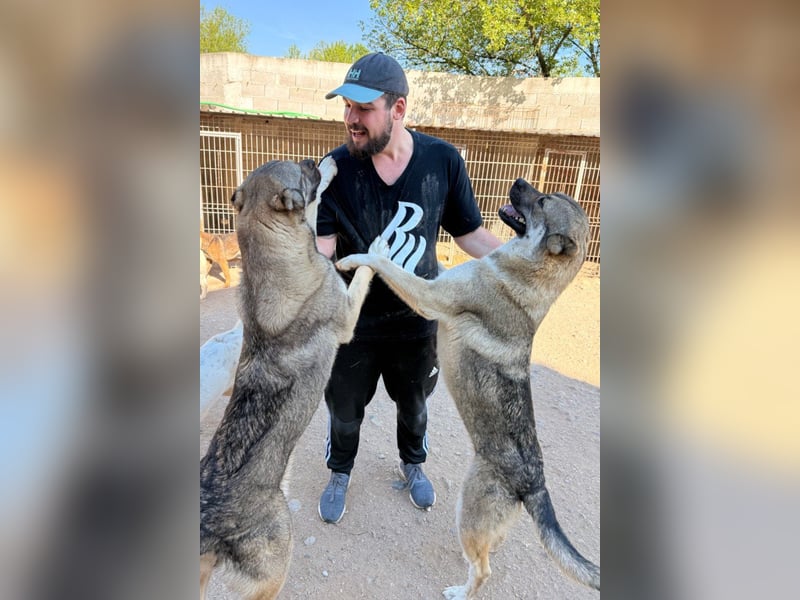 LOTTIE❤️HSH-Mix-Hündin: eine wahre Frohnatur und treue Begleiterin