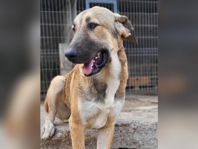 HSH-Mix Miriam ❤️ verspielt, aktiv, sucht dich!