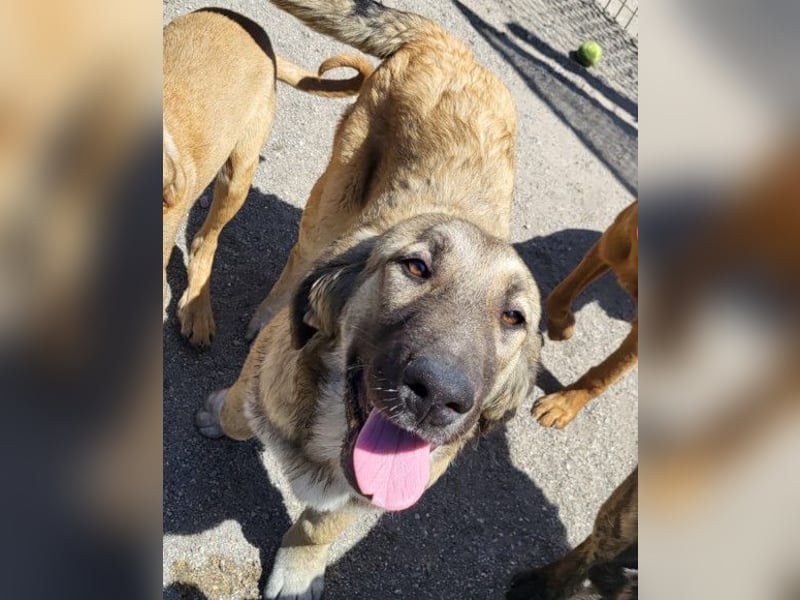 HSH-Mix Miriam ❤️ verspielt, aktiv, sucht dich!