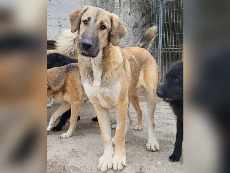 HSH-Mix Miriam ❤️ verspielt, aktiv, sucht dich!