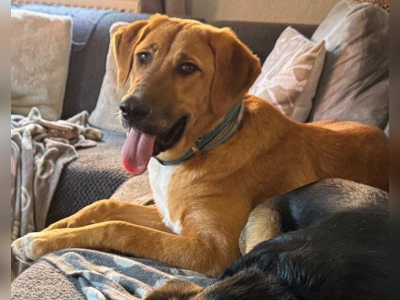 HSH-Mix-Lady ♥Suvi♥ wartet bereits in 63911 Klingenberg/Main