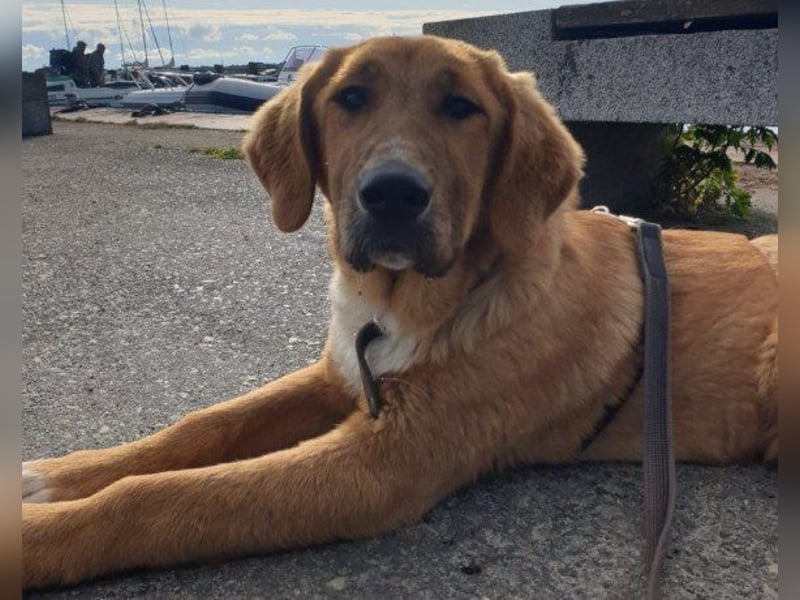 HSH-Mix-Lady ♥Suvi♥ wartet bereits in 63911 Klingenberg/Main