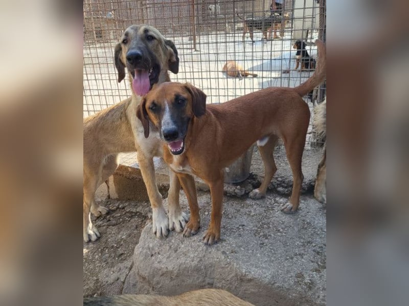 HSH-Mix Miriam ❤️ verspielt, aktiv, sucht dich!