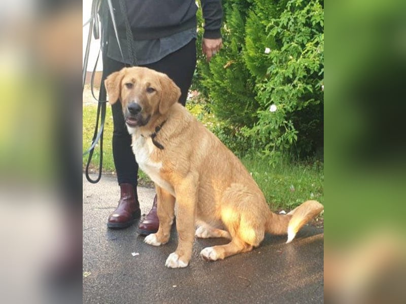 HSH-Mix-Lady ♥Suvi♥ wartet bereits in 63911 Klingenberg/Main