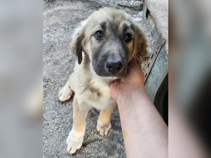 HSH-Mix Miriam ❤️ verspielt, aktiv, sucht dich!