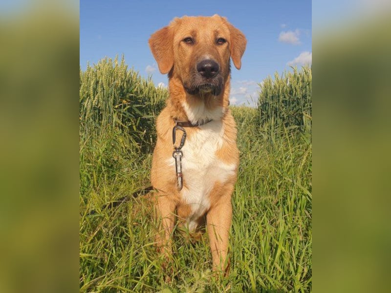 HSH-Mix-Lady ♥Suvi♥ wartet bereits in 63911 Klingenberg/Main