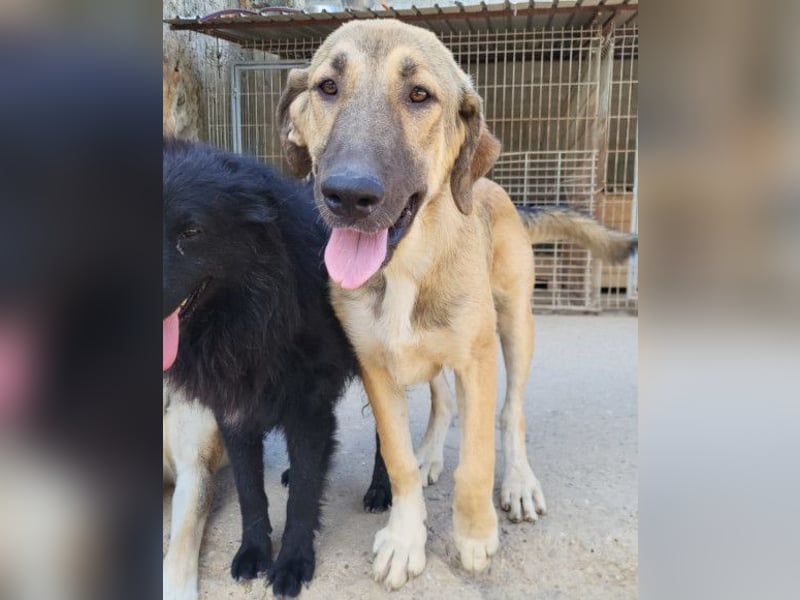 HSH-Mix Miriam ❤️ verspielt, aktiv, sucht dich!