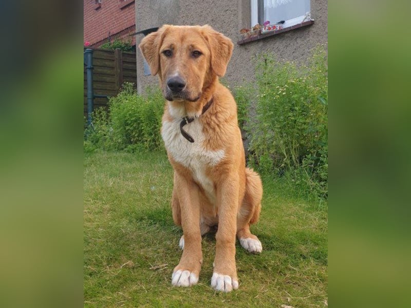 HSH-Mix-Lady ♥Suvi♥ wartet bereits in 63911 Klingenberg/Main