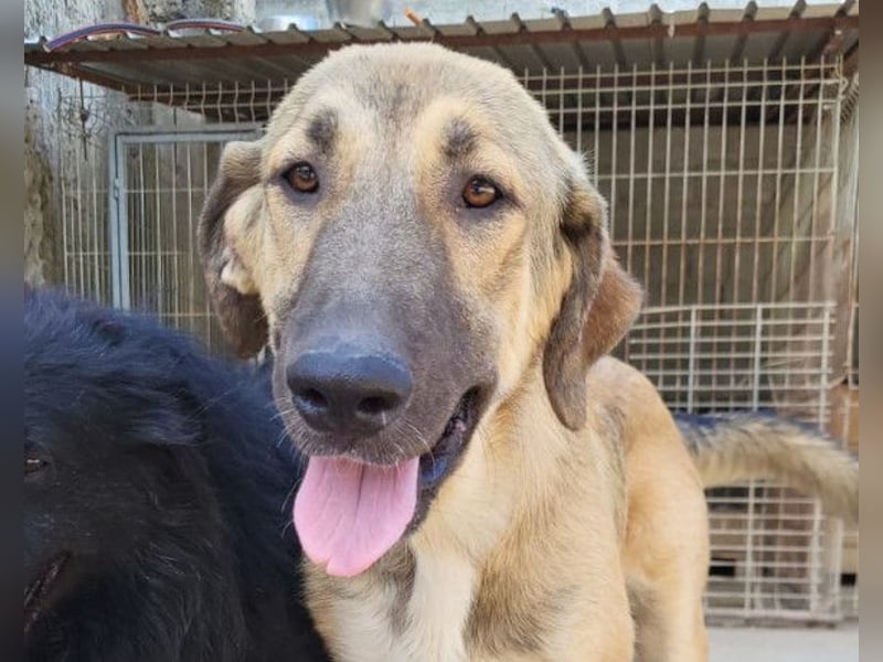 HSH-Mix Miriam ❤️ verspielt, aktiv, sucht dich!