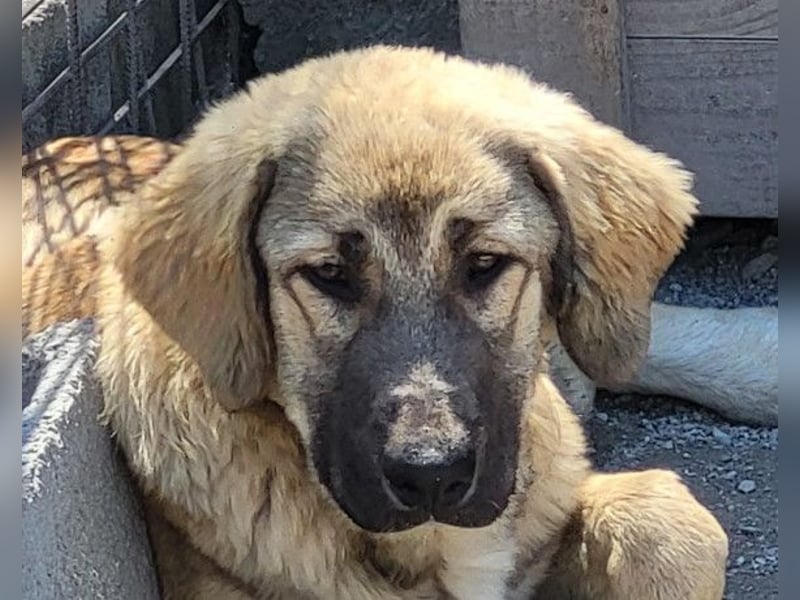 HSH-Mix Miriam ❤️ verspielt, aktiv, sucht dich!