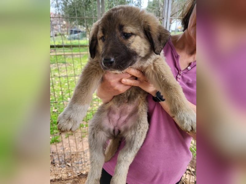 HSH-Mix Miriam ❤️ verspielt, aktiv, sucht dich!