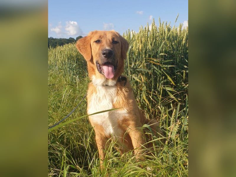 HSH-Mix-Lady ♥Suvi♥ wartet bereits in 63911 Klingenberg/Main