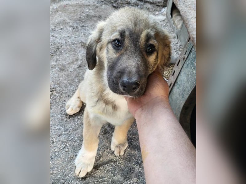 HSH-Mix Miriam ❤️ verspielt, aktiv, sucht dich!