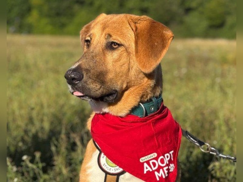 HSH-Mix-JungLady ♥ Suvi ♥ 63911 Klingenberg/Main