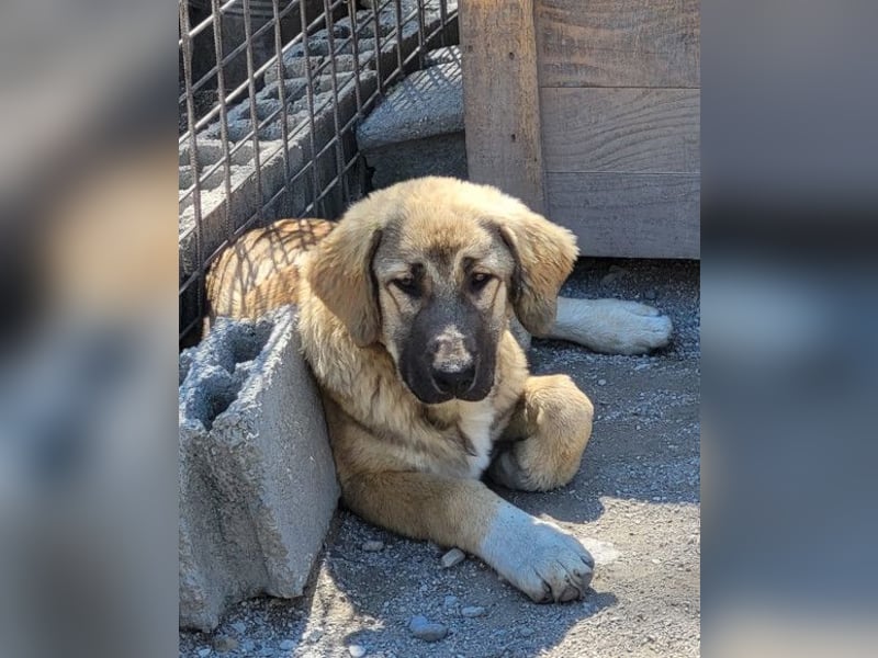 HSH-Mix Miriam ❤️ verspielt, aktiv, sucht dich!