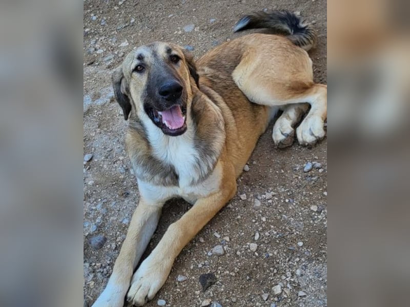 HSH-Mix Miriam ❤️ verspielt, aktiv, sucht dich!